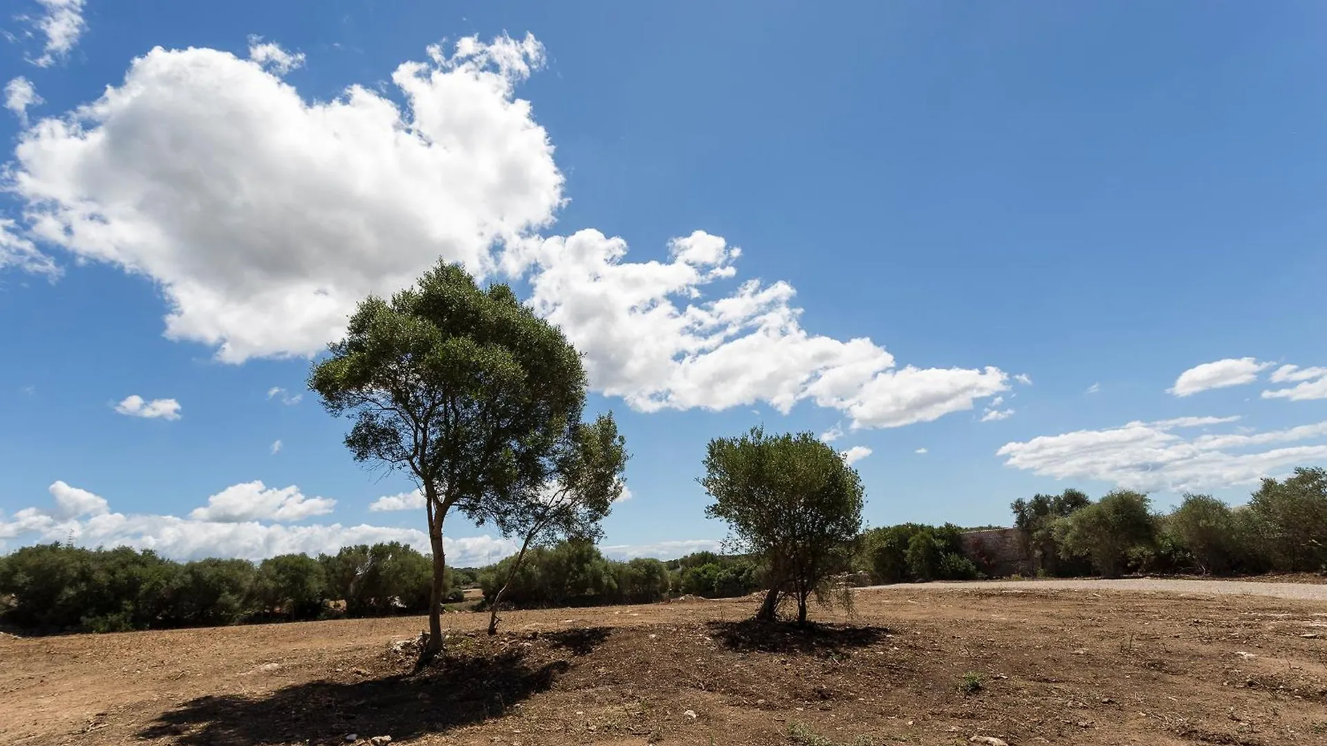 אלאיור Agroturismo Santa Mariana בית חווה